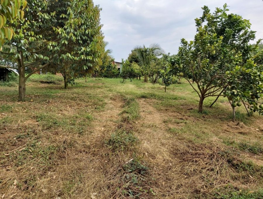 Bán lô đất sào Phú Giáo Bình Dương